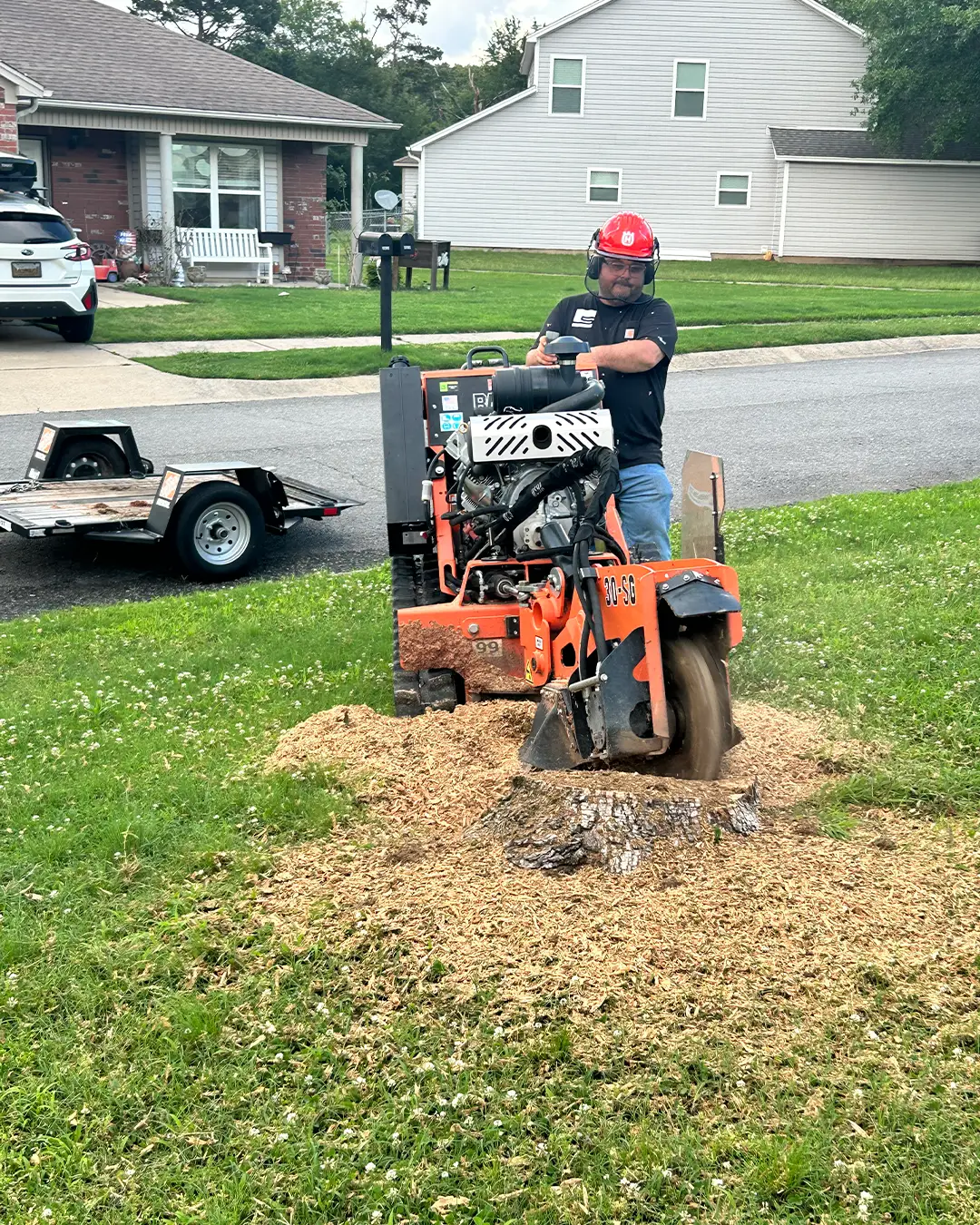 Sato crew grinding a stump with a tracked stump grinder